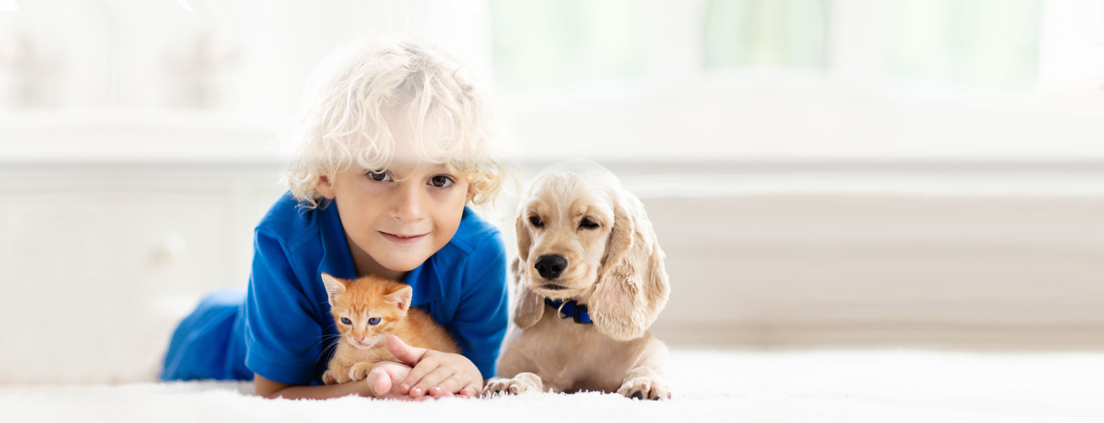 A young boy holding a kitten lays on a rug next to a dog.