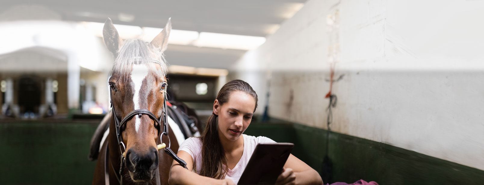 A woman reads from a tablet while standing next to a horse in full tack.