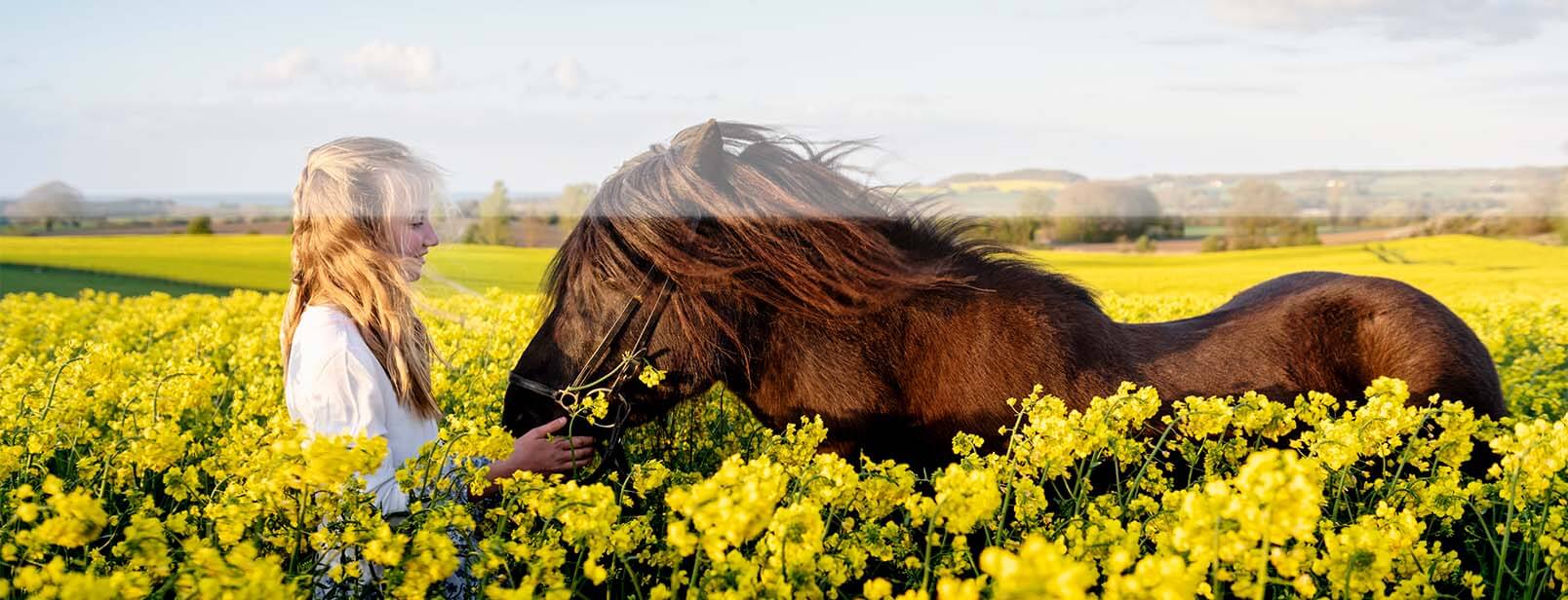 A young woman and a brown horse stand in a field of flowers